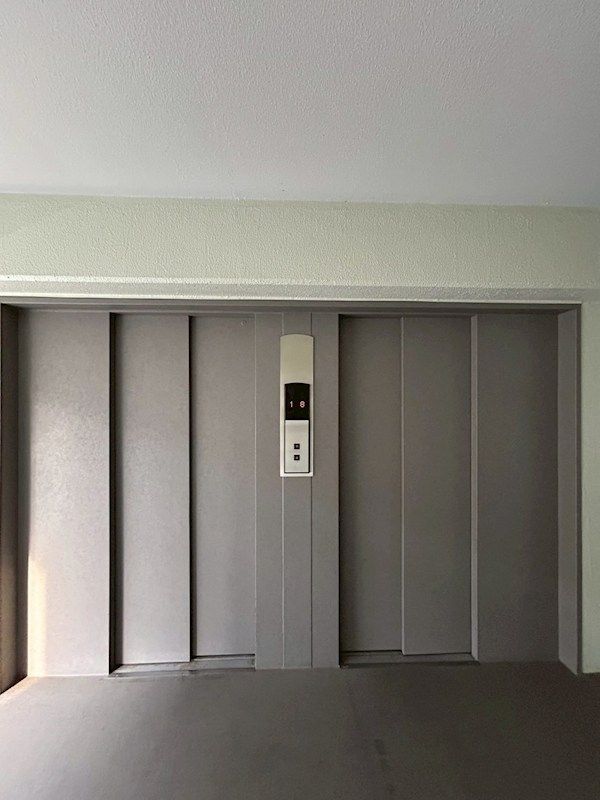 �y���̑����L�����z�@