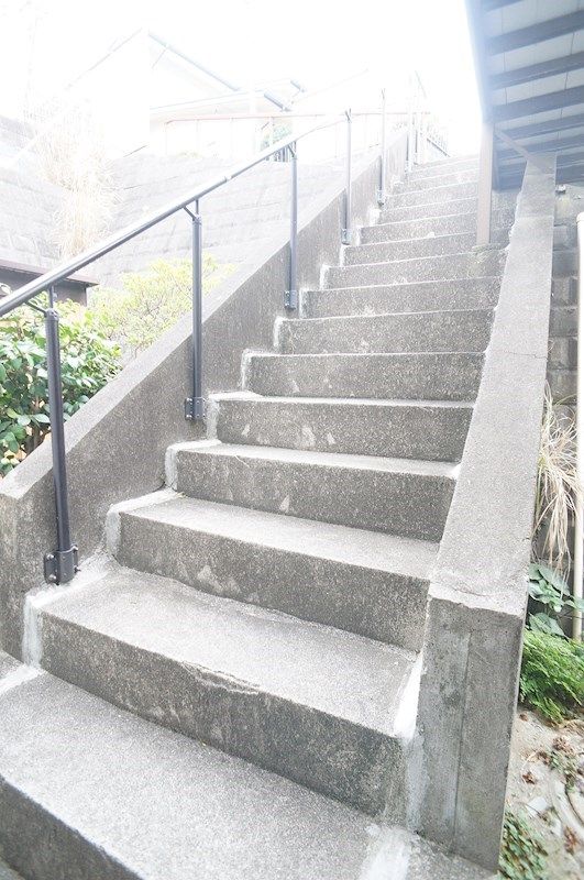 �y���̑����L�����z�@