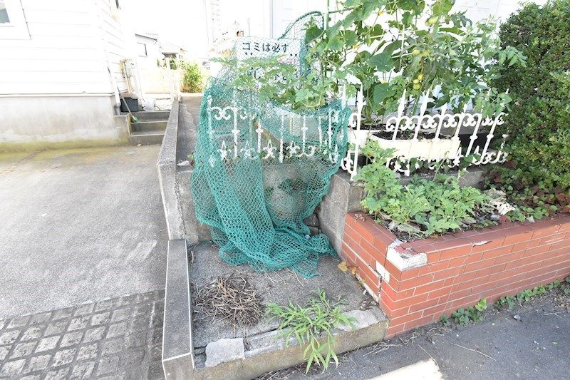 �y���̑����L�����z�@