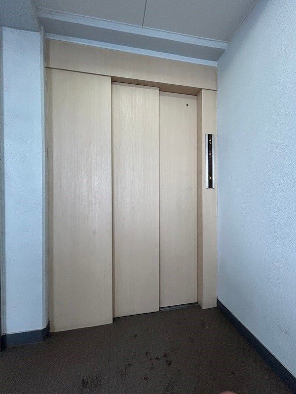 �y���̑����L�����z�@