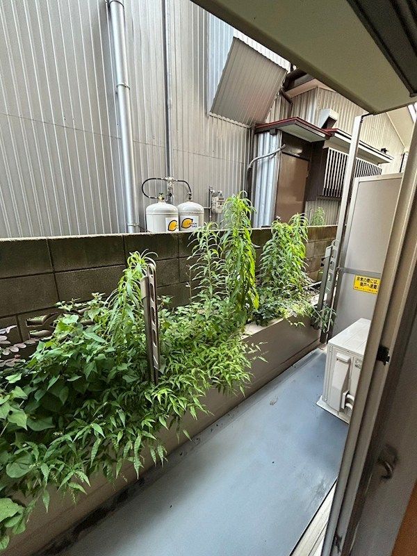 �y���]�z�@�O����̎������C�ɂȂ�ɂ������ł��B