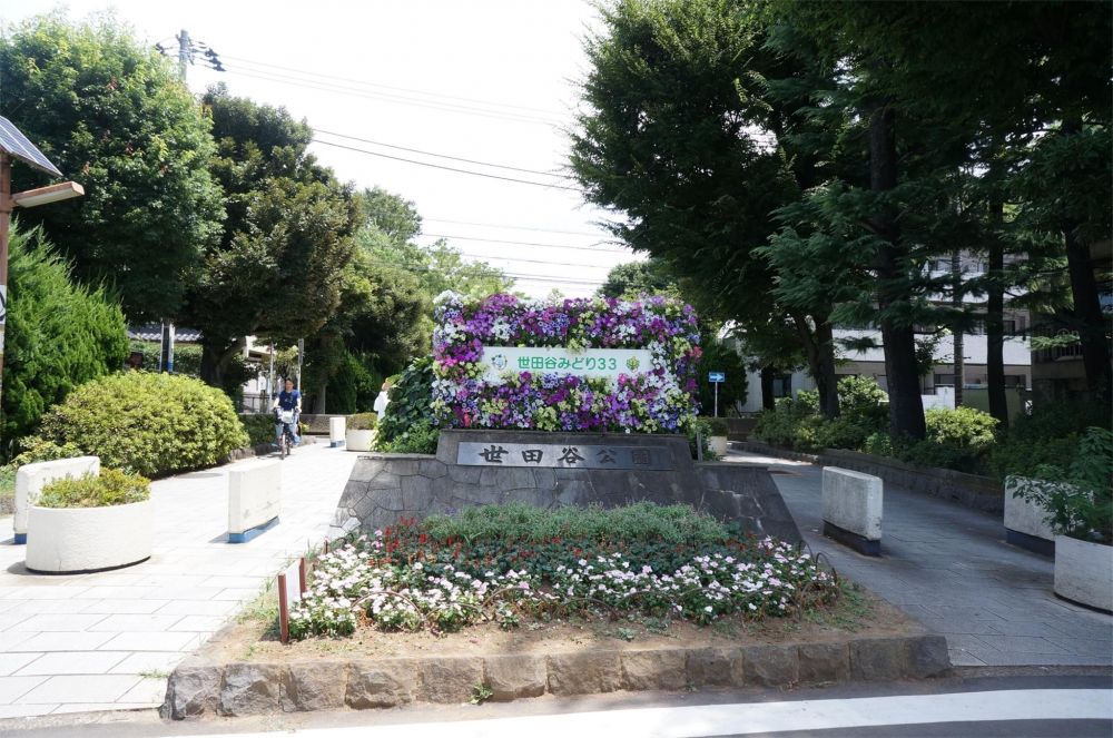 �y���Ӂz�@���c�J���� 810m