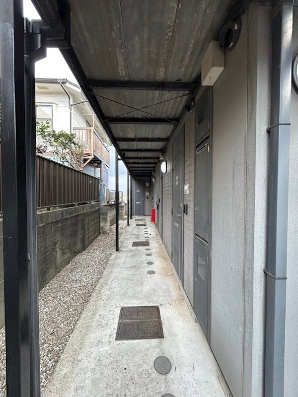 �y���̑����L�����z�@