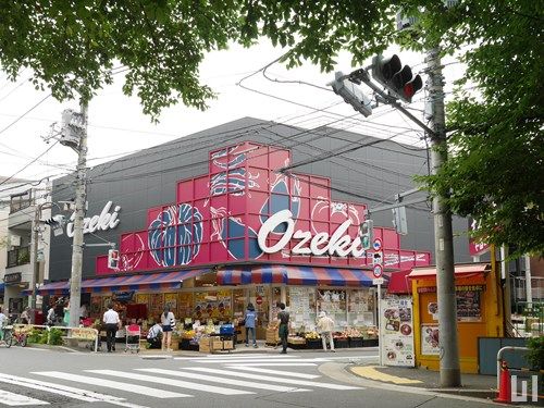 �y���Ӂz�@Ozeki�i�I�I�[�L�j �ڍ��s���O�X 101m