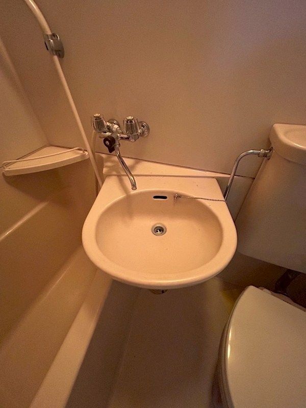 �y���ʏ��z�@