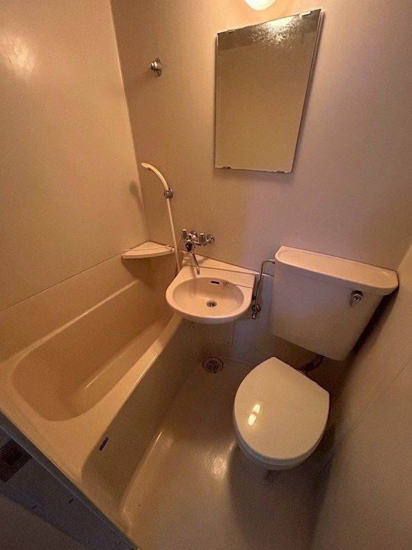 �y�o�X�z�@