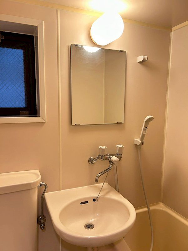 �y���ʏ��z�@���ʃ{�E��