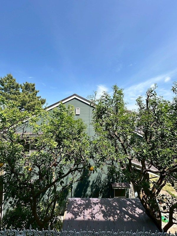 �y���]�z�@