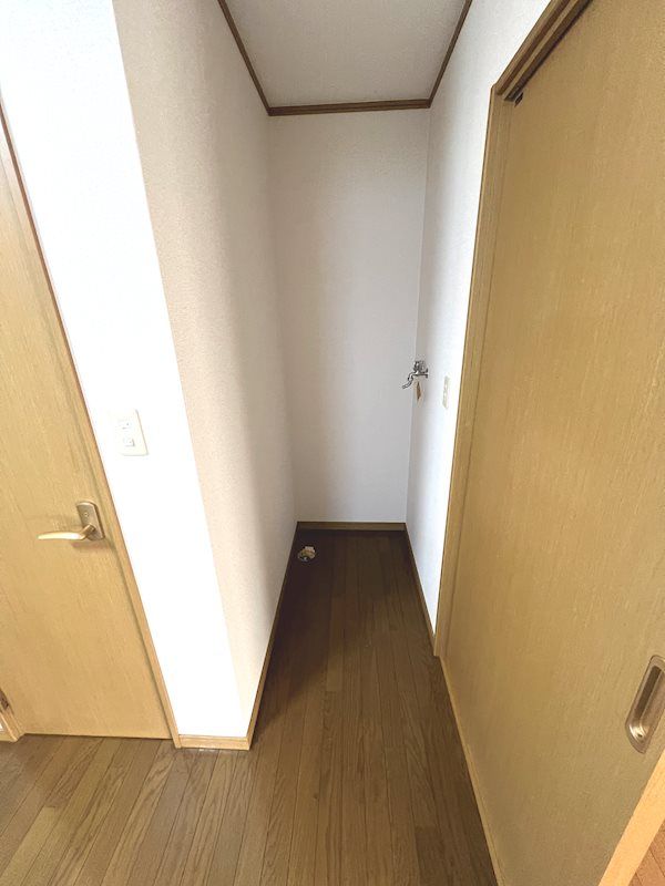 �y���̑����L�����z�@