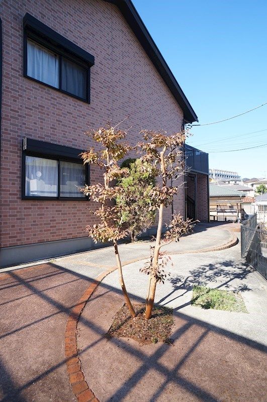 �y���̑����L�����z�@