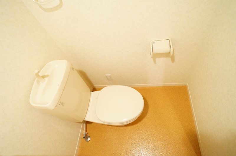 �y�g�C���z�@