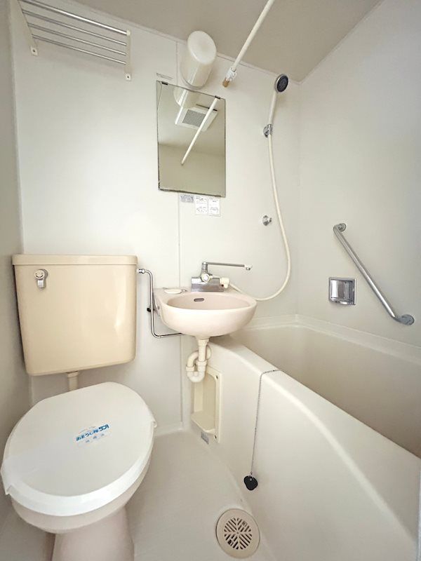 �y���ʏ��z�@�O���W���̎ʐ^�ł�