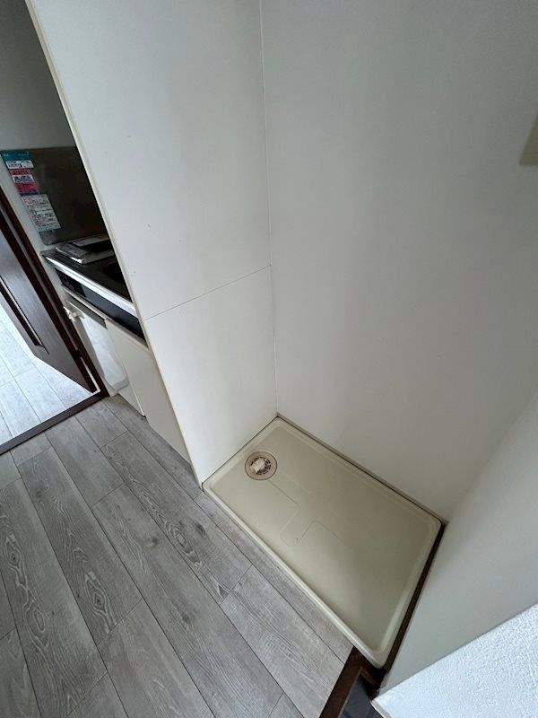 �y���̑��z�@�O���W���̎ʐ^�ł�